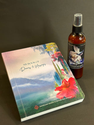 Writers Duo - My Book of Dreams and Messages & Elixir- Between the Dreams